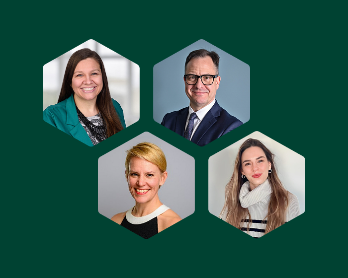 AI & Accessible Knowledge Insights for LIFOW from Webinar